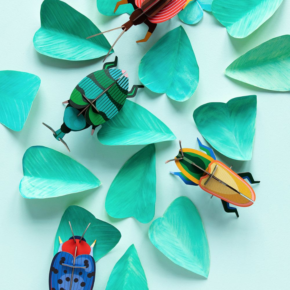 DIY 3D Wall Decoration - Weevil Beetle, small