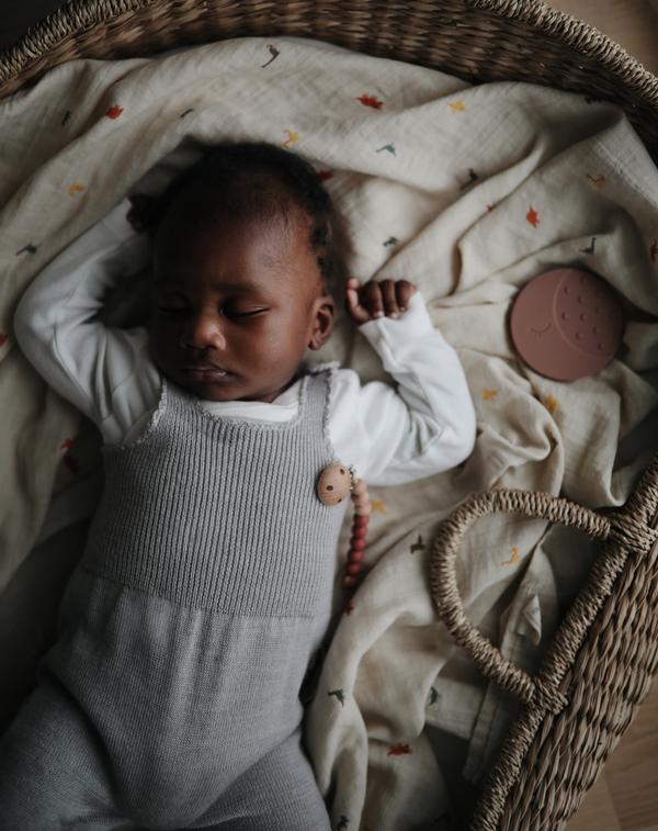 Mushie Organic Cotton Muslin Baby Swaddle - Dinosaurs