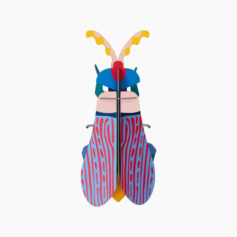 DIY 3D Wall Decoration -Striped Wing Beetle