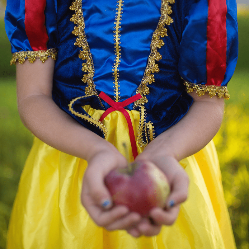 Deluxe Snow White Gown, 5-6Y