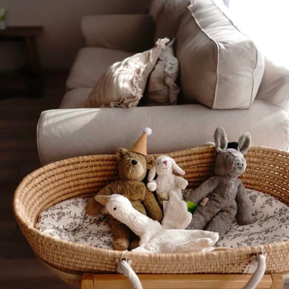 Senger Animal Baby Sheep
