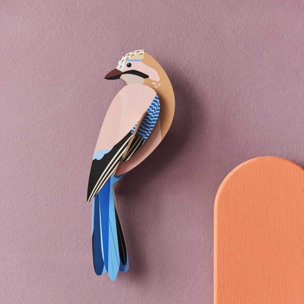 DIY 3D Wall Decoration - Jay