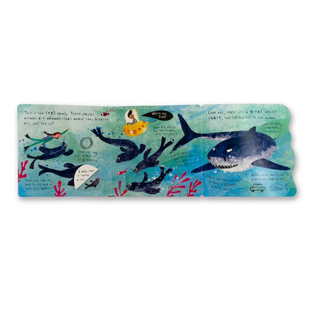 Hello, Whale! BB by Sam Boughton