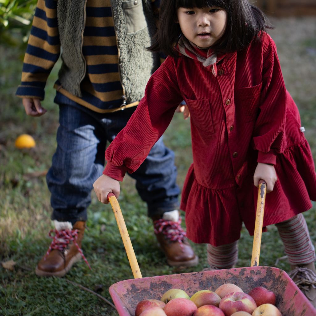 1 + in the Family REGINA burgundy baby corduroy dress with a button placket and gathered skirt