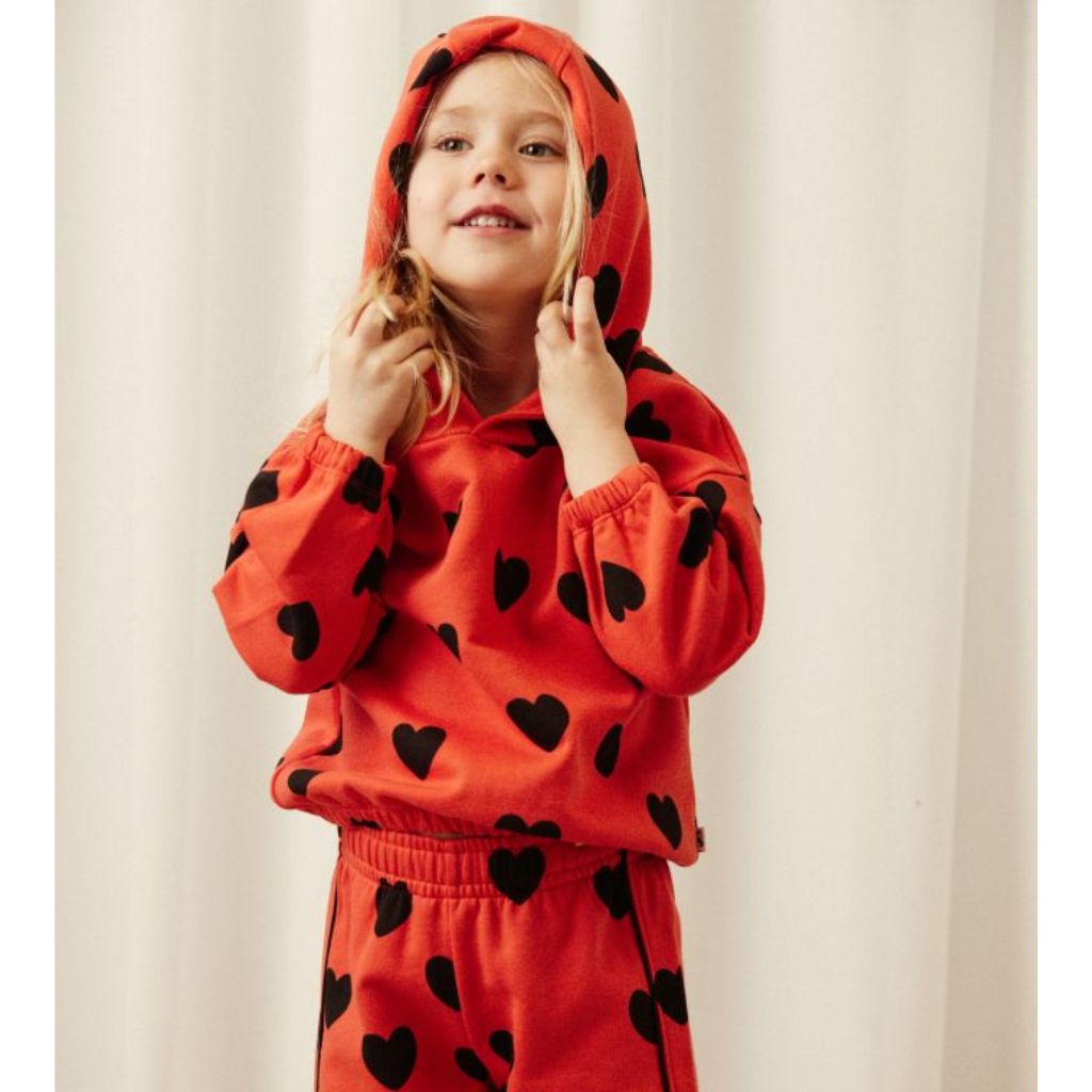 Mini Rodini Hearts Aop Hoodie