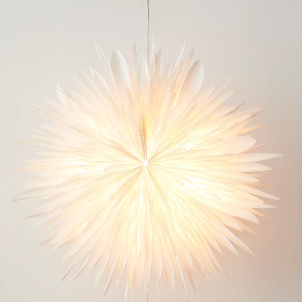 Stella Dalia White
