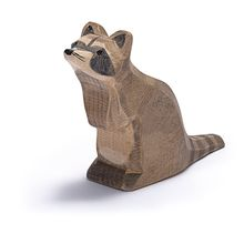 Ostheimer Raccoon Sitting