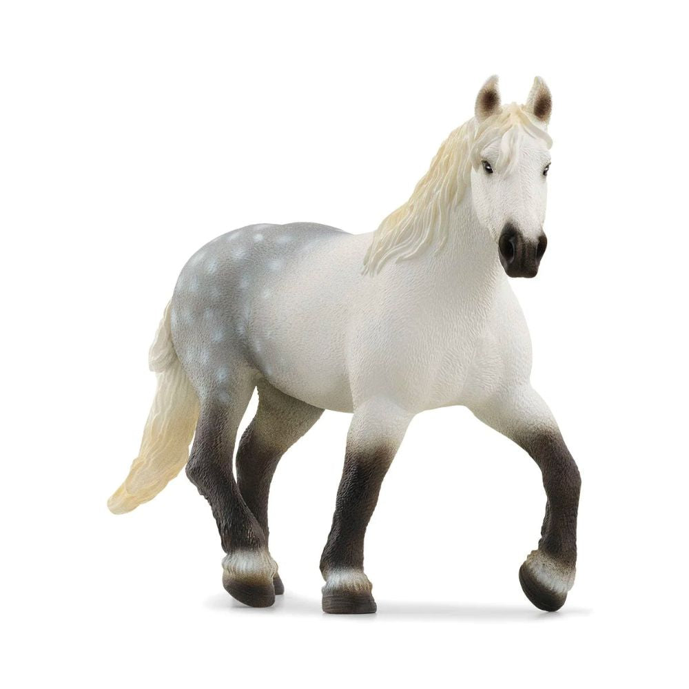 Scheich Percheron Mare