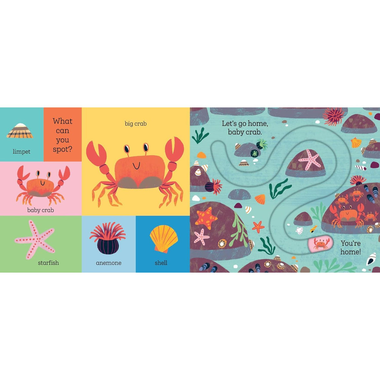 Let's Go Home, Baby Shark Book BB