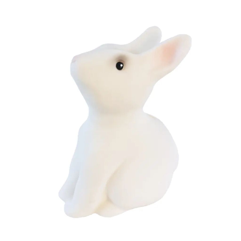 Money Bank Rabbit
