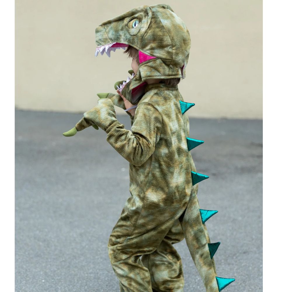 A Land Before Mine Deluxe Raptor Size 2-3T