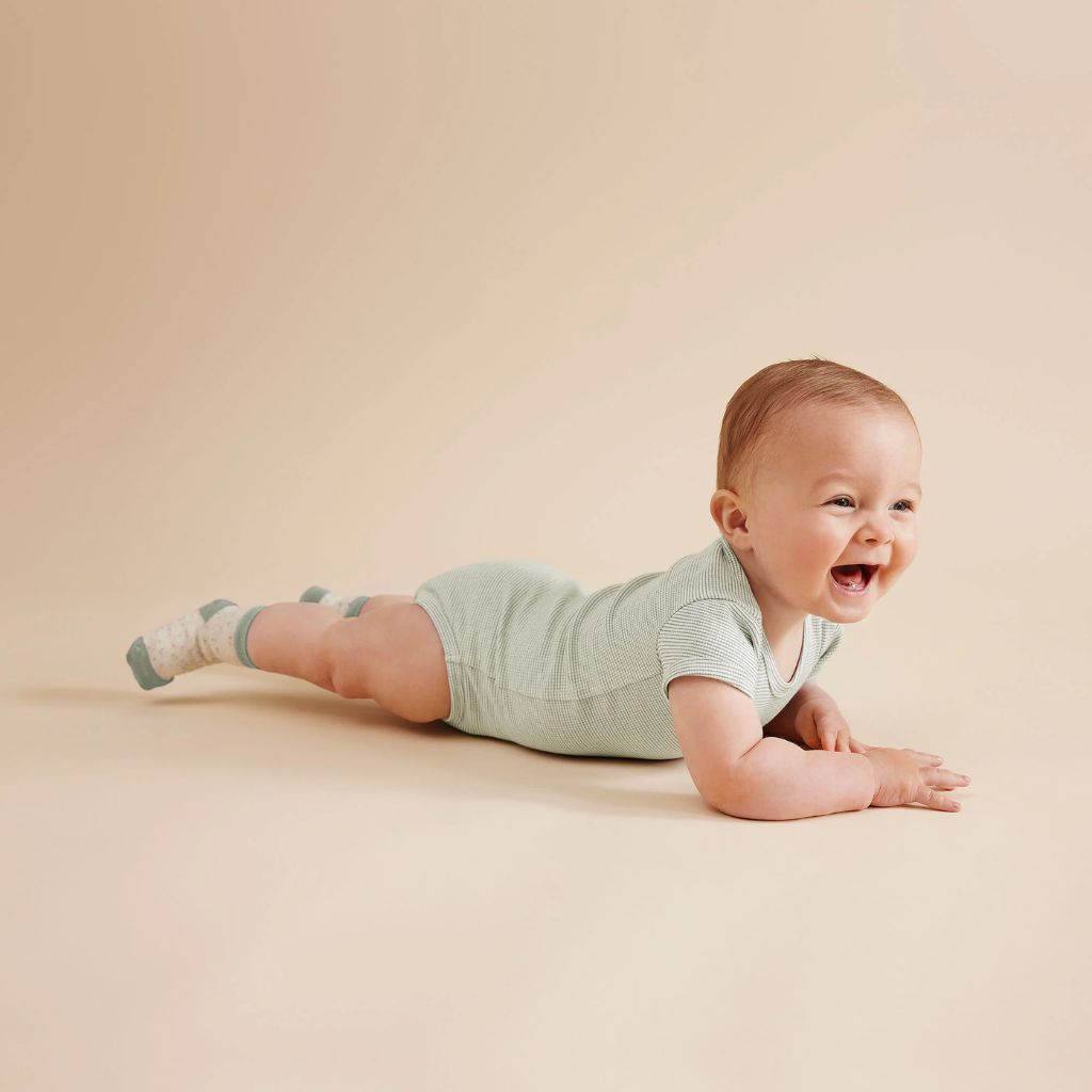 Wilson & Frenchy Organic Stripe Rib Bodysuit