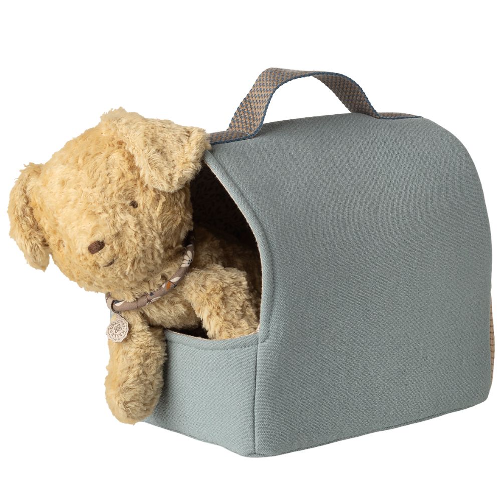 Gray pet carrier with a teddy bear peeking out on a white background