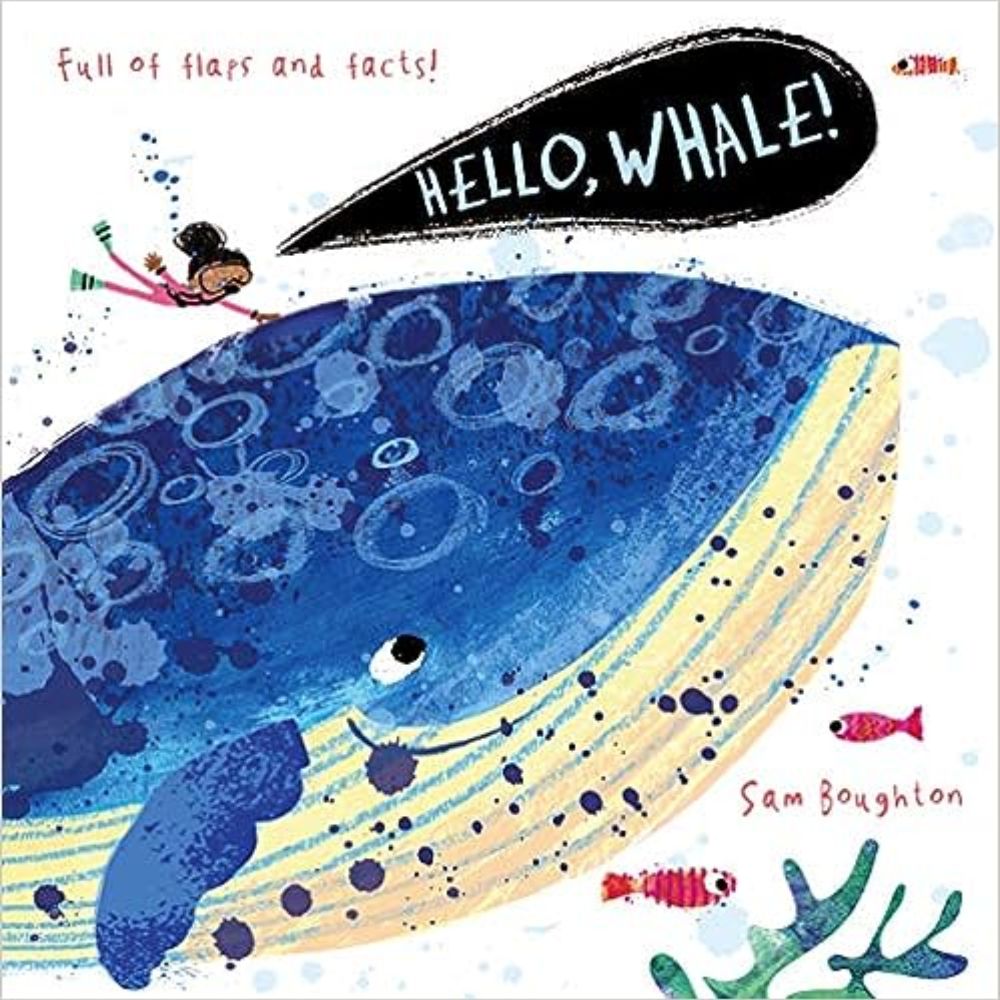 Hello, Whale! BB by Sam Boughton