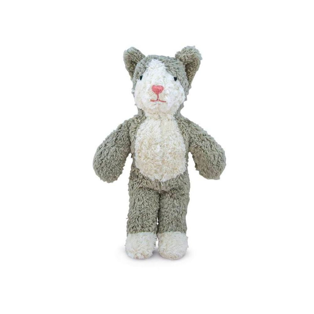 Senger Animal Baby Cat