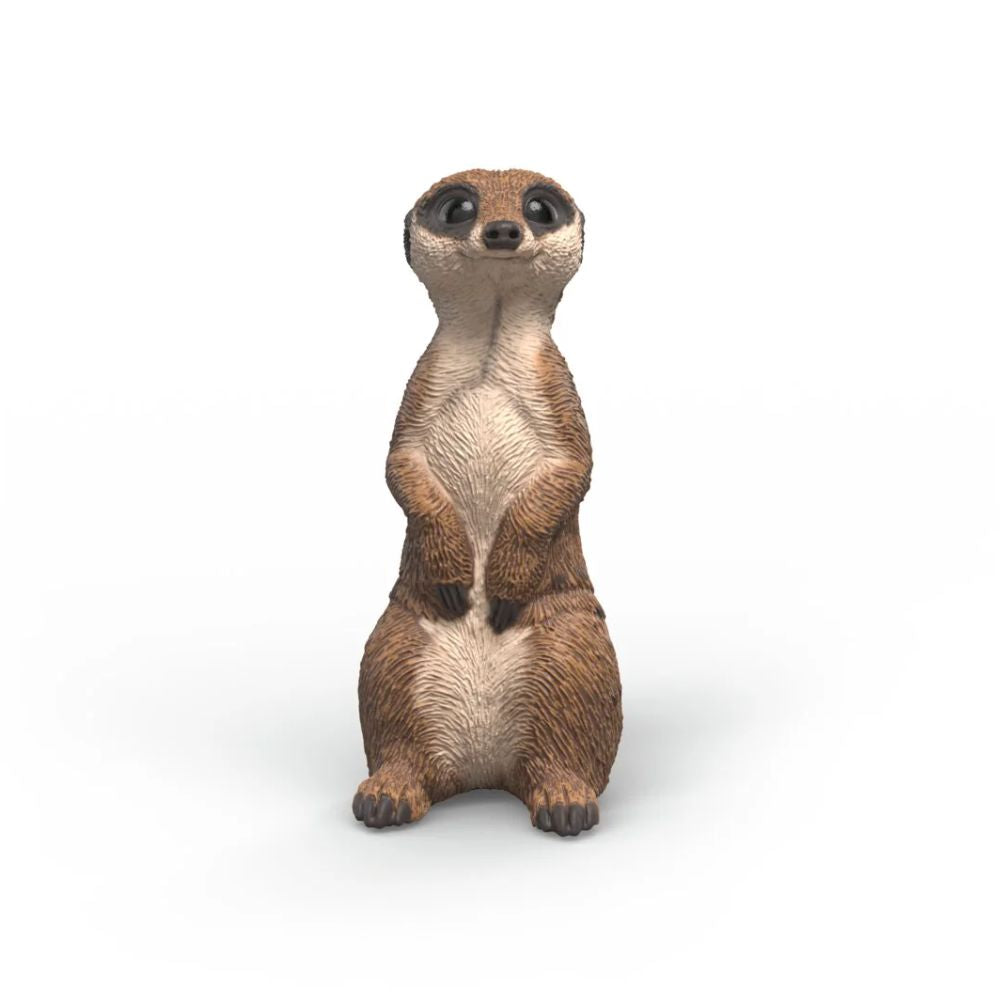 Schleich Meerkat