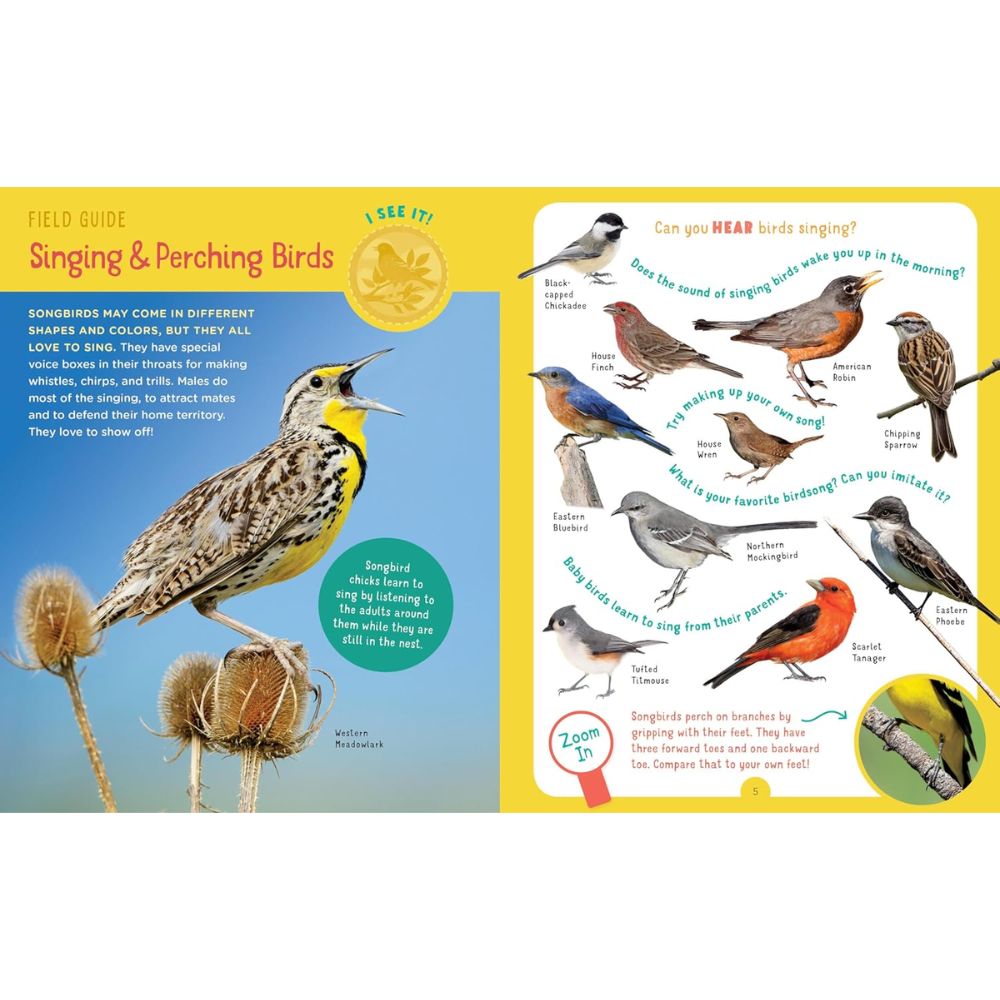 Backpack Explorer- Bird Watch