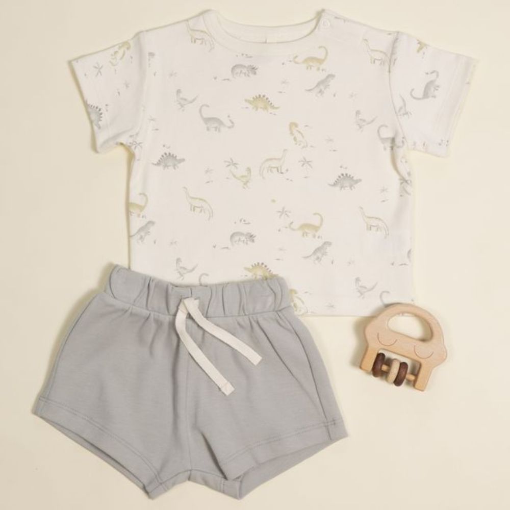 Quincy Mae Boxy Tee Dinosaur