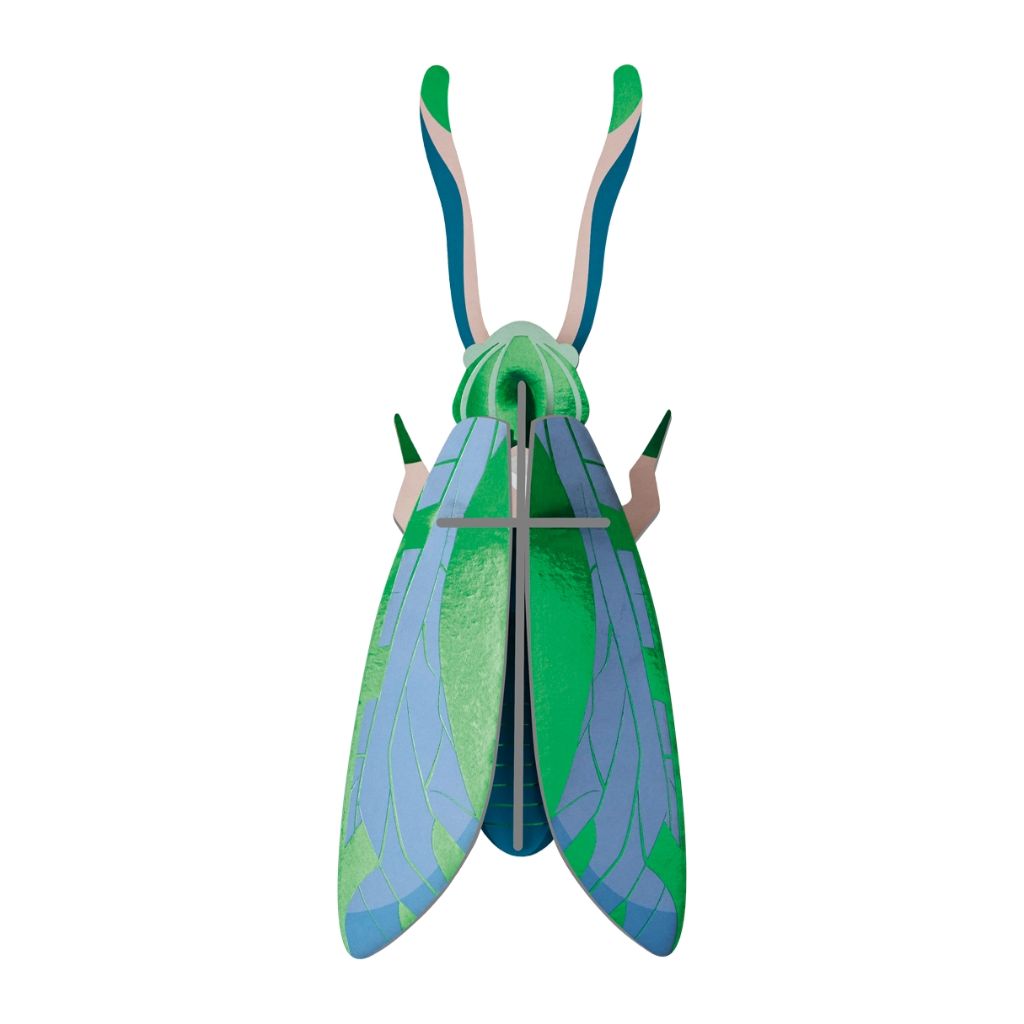 3D Wall Art - Radiant Beetle - Jade Grasshopper