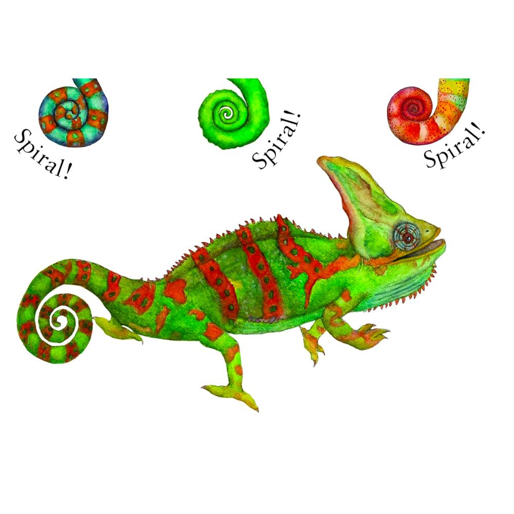 Spot, Spike, Spiral BB by Sarah Grace Tuttle