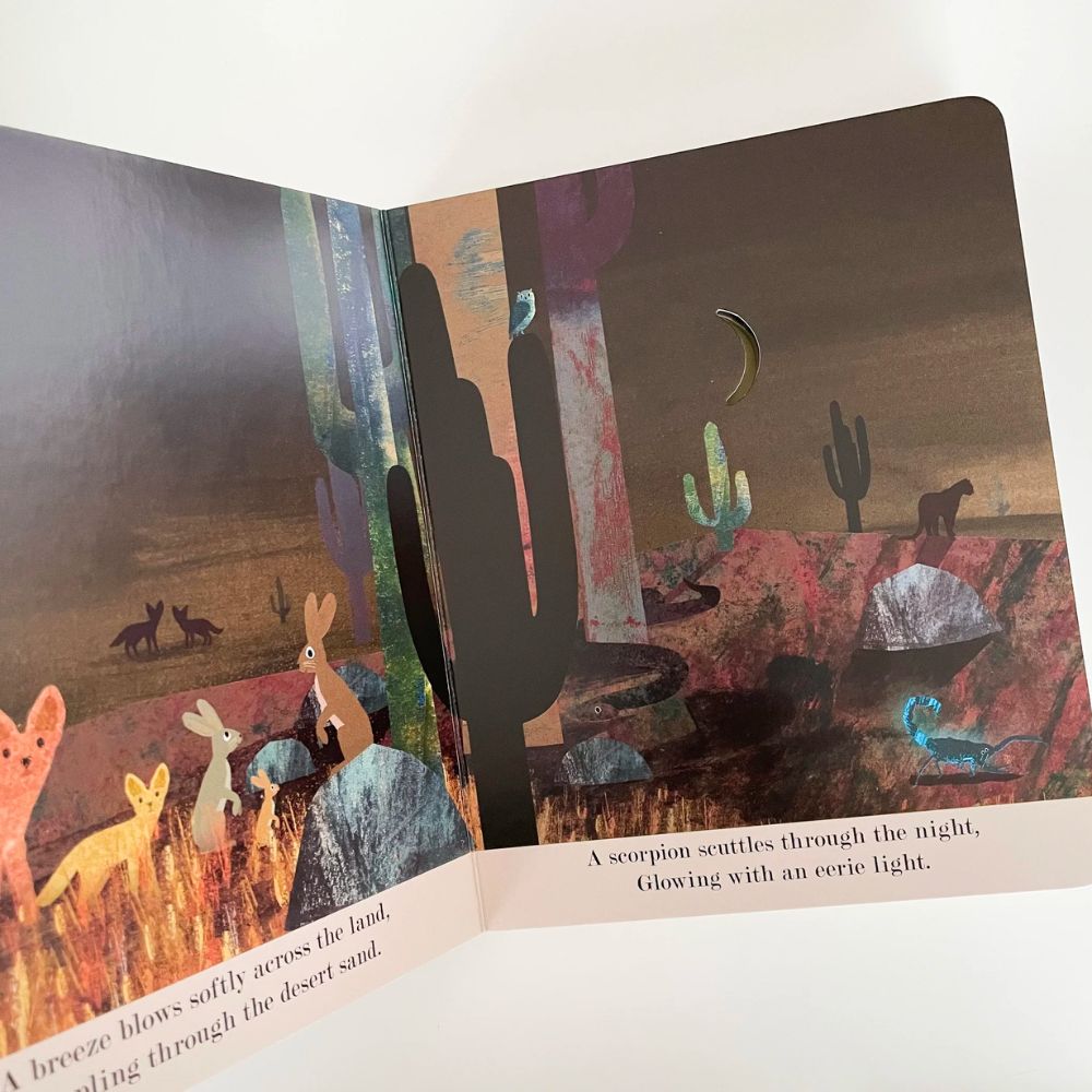 Moon: A Peek-Through Board Book by Britta Teckentrup