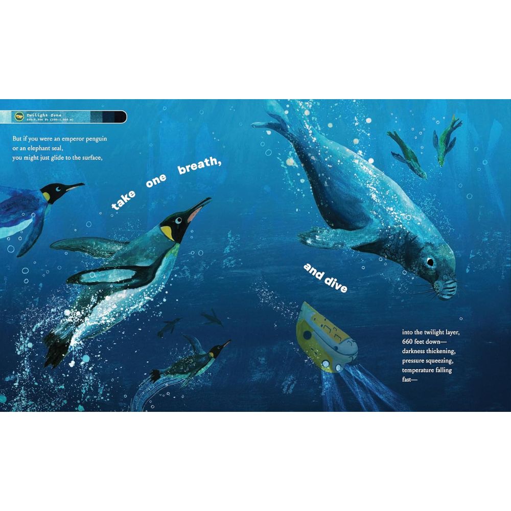 If You Went to the Bottom of the Ocean HC by Brooke McIntyre