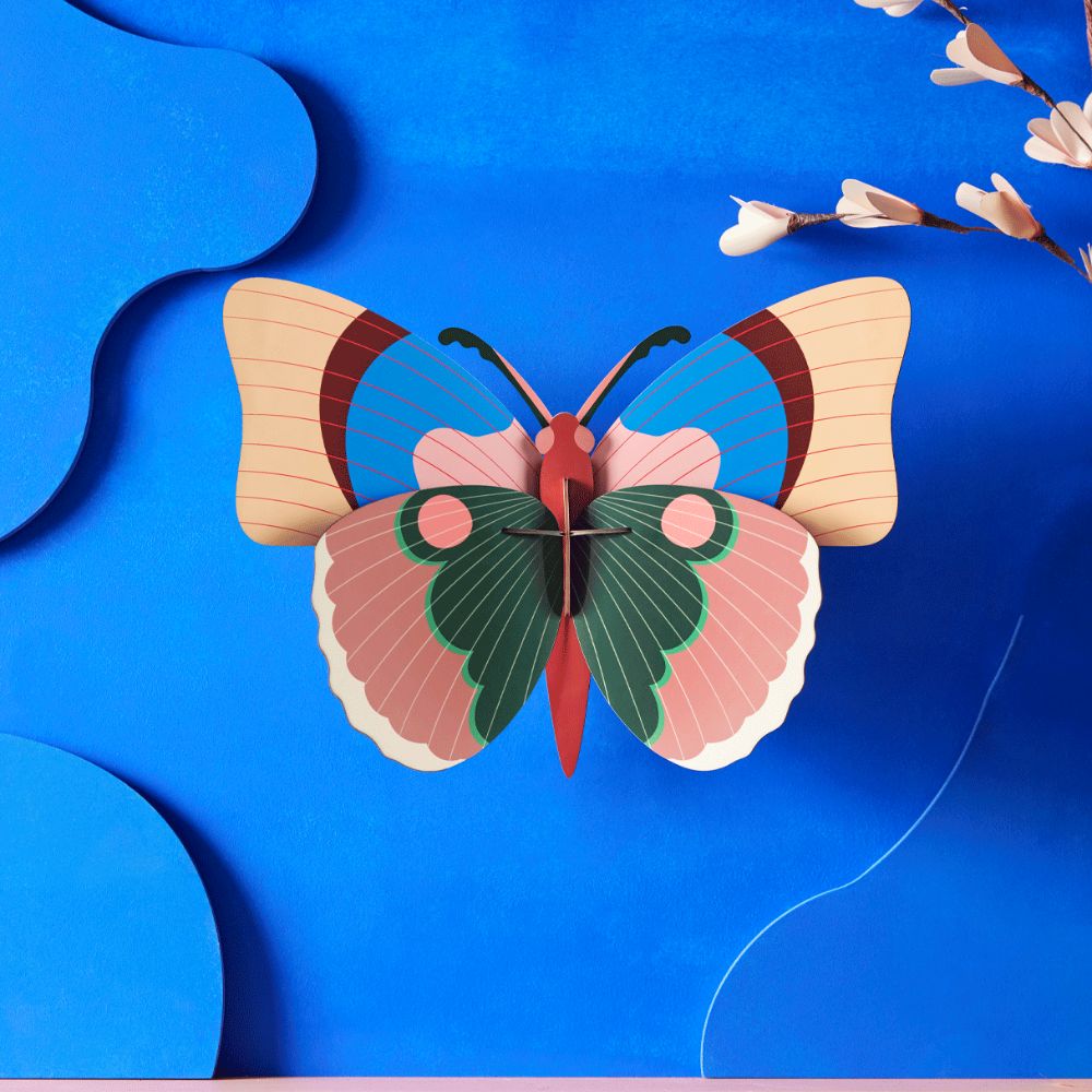 DIY 3D Wall Decoration - Cepora Butterfly