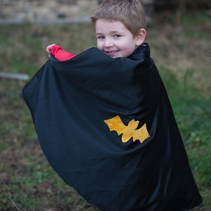 Reversible Spider/Bat Cape & Mask, 3-4Y