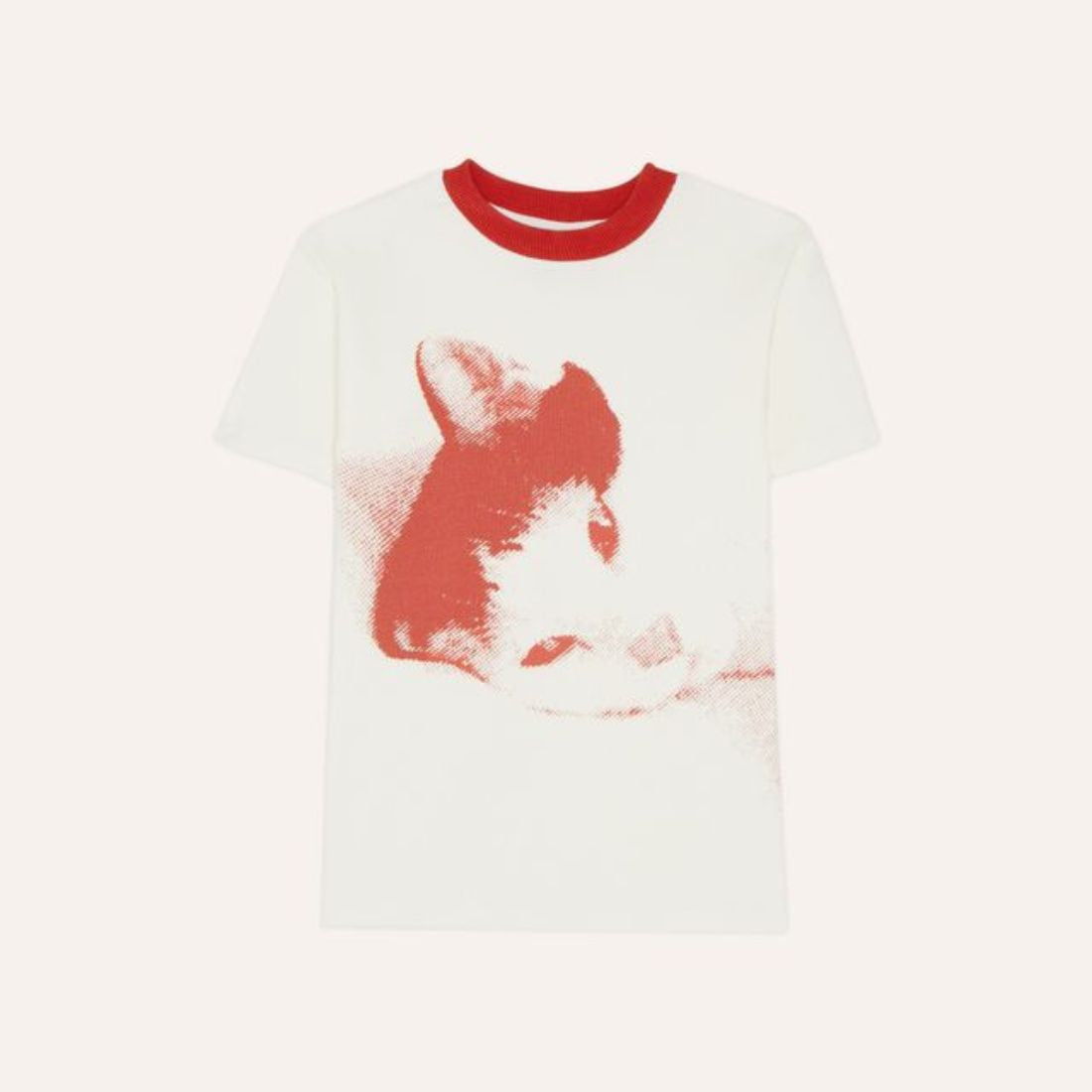 The Campamento Paco the Cat Tshirt