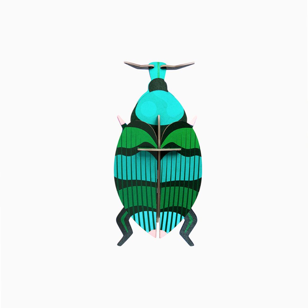 DIY 3D Wall Decoration - Weevil Beetle, small