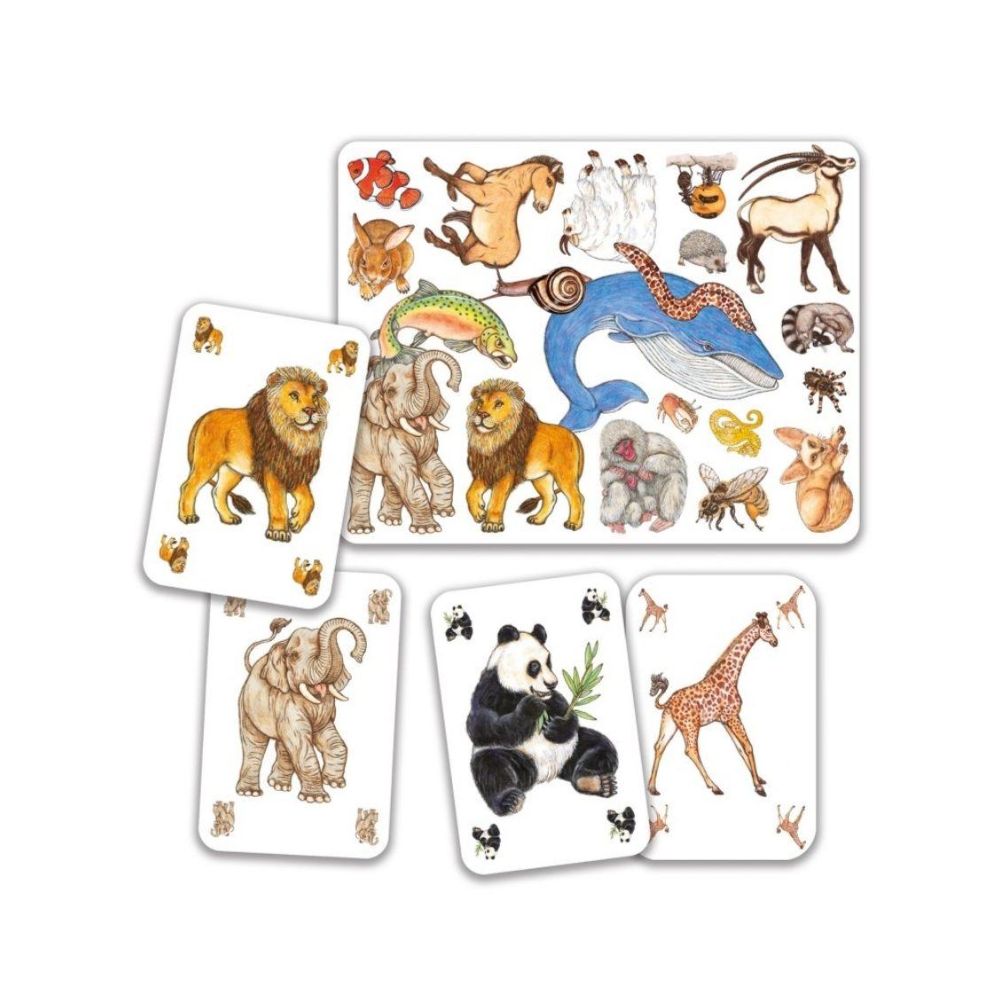 Djeco Card Game - Zanimatch