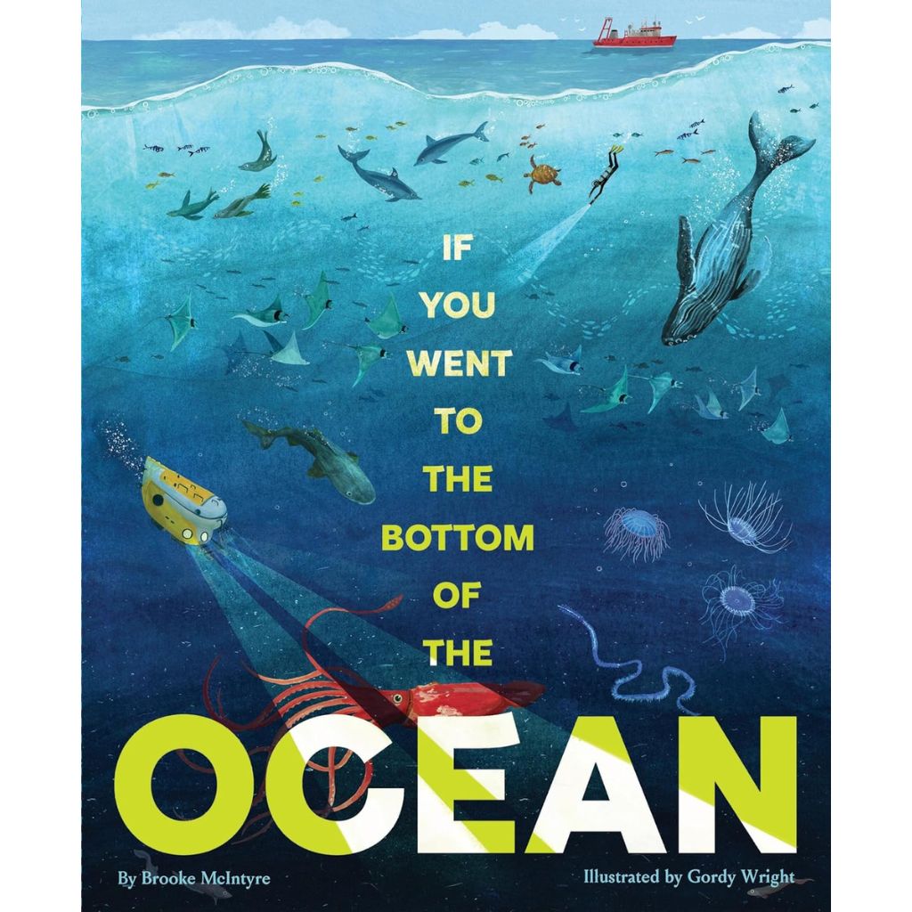 If You Went to the Bottom of the Ocean HC by Brooke McIntyre