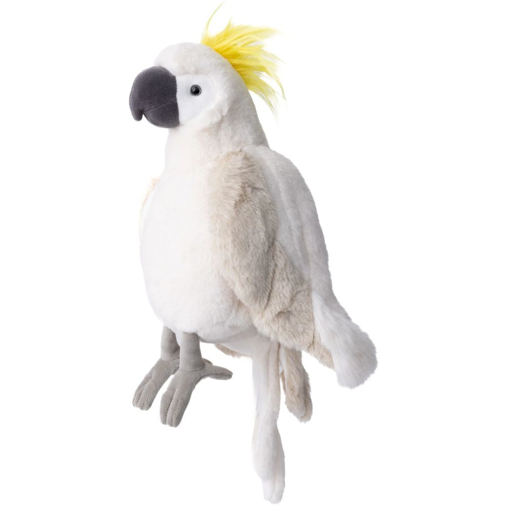 Bukowski Bears - Mango Parrot
