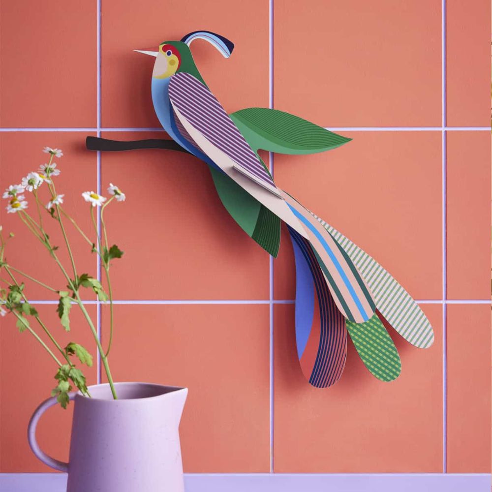 DIY 3D Wall Decoration Bird Maya