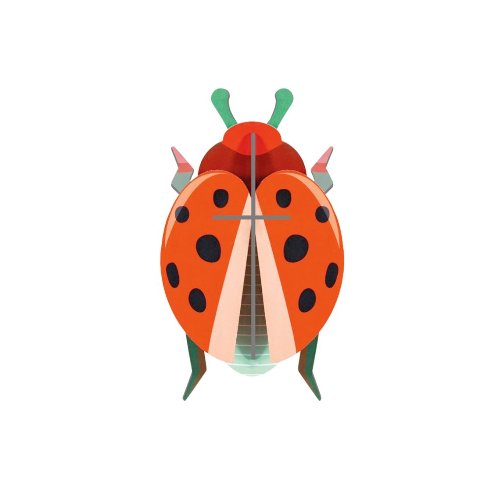 3D Wall Art - Beetles - Coccinelle Rouge