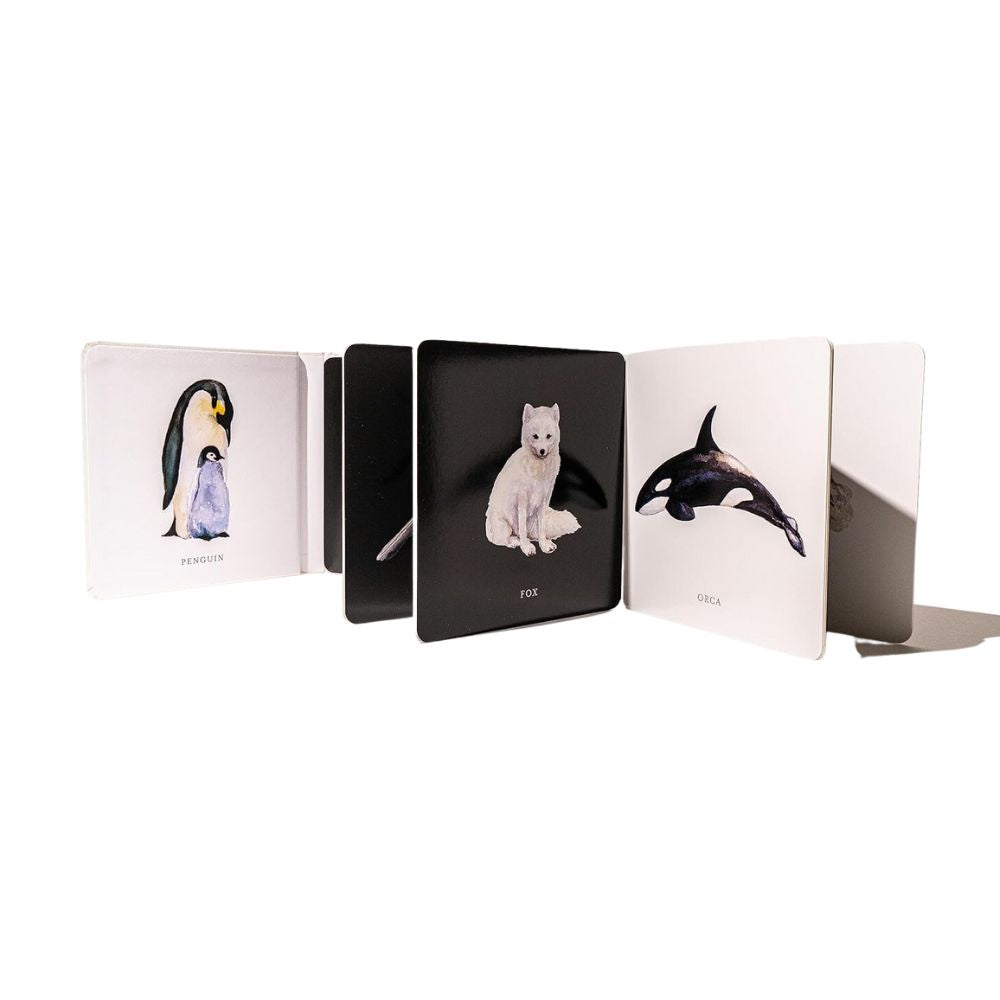 Baby's Black and White Book