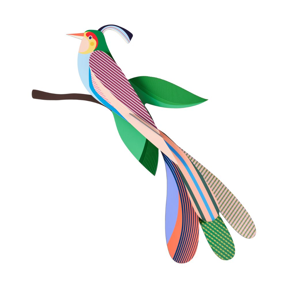 DIY 3D Wall Decoration Bird Maya
