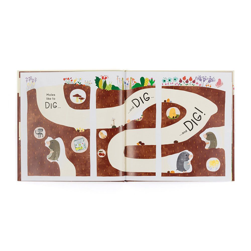 Muswell Mole and the Buried Treasure HC