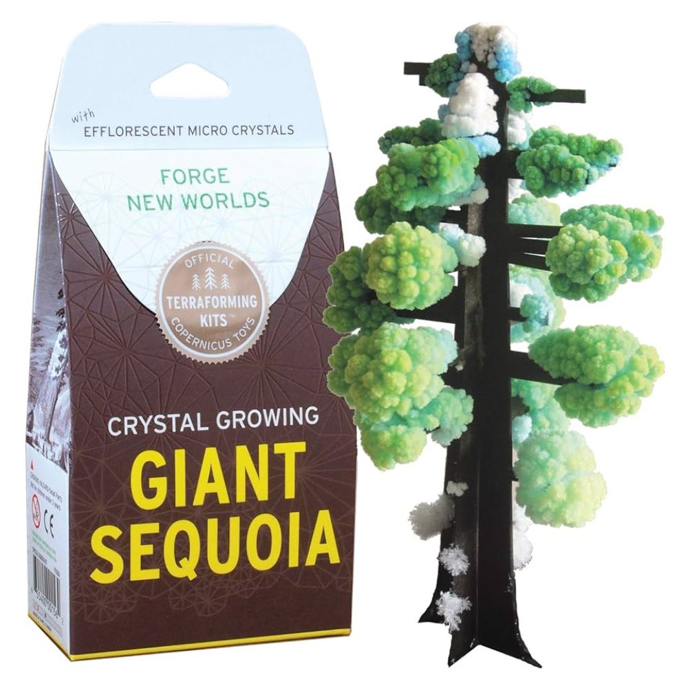 Crystal Growing Sequoia