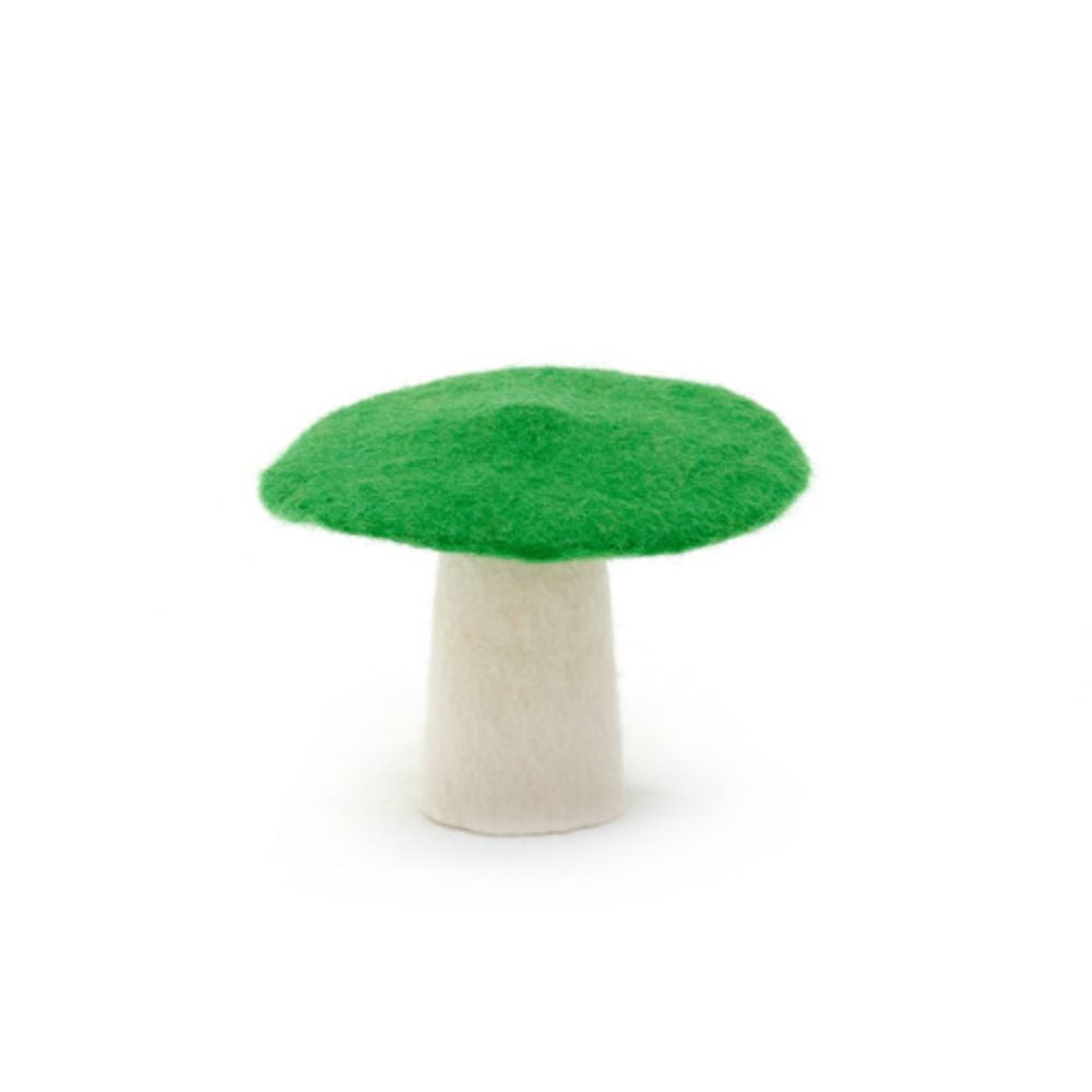 Muskhane Mushroom S Chlorophyll