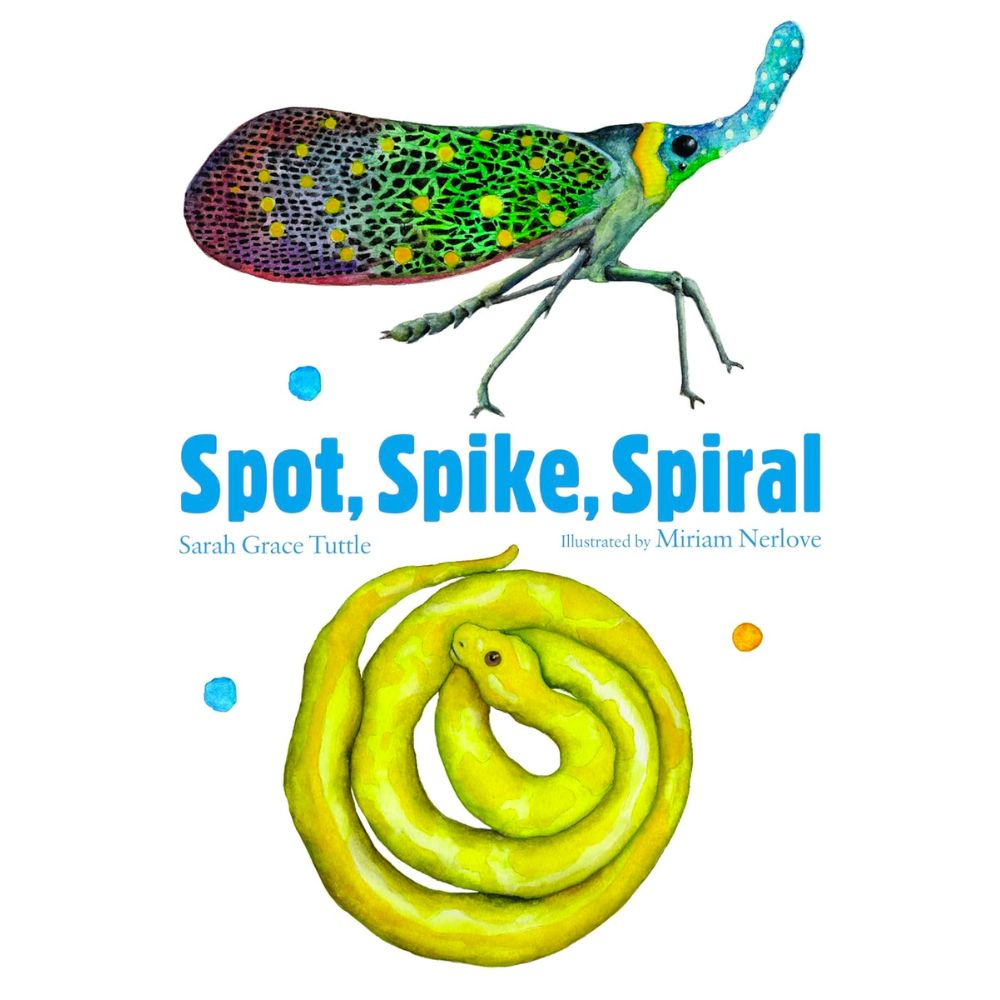 Spot, Spike, Spiral BB by Sarah Grace Tuttle