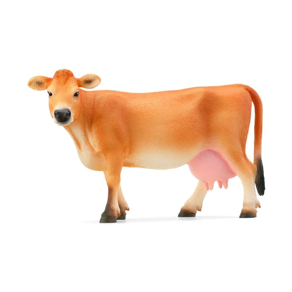Scheich Jersey Cow
