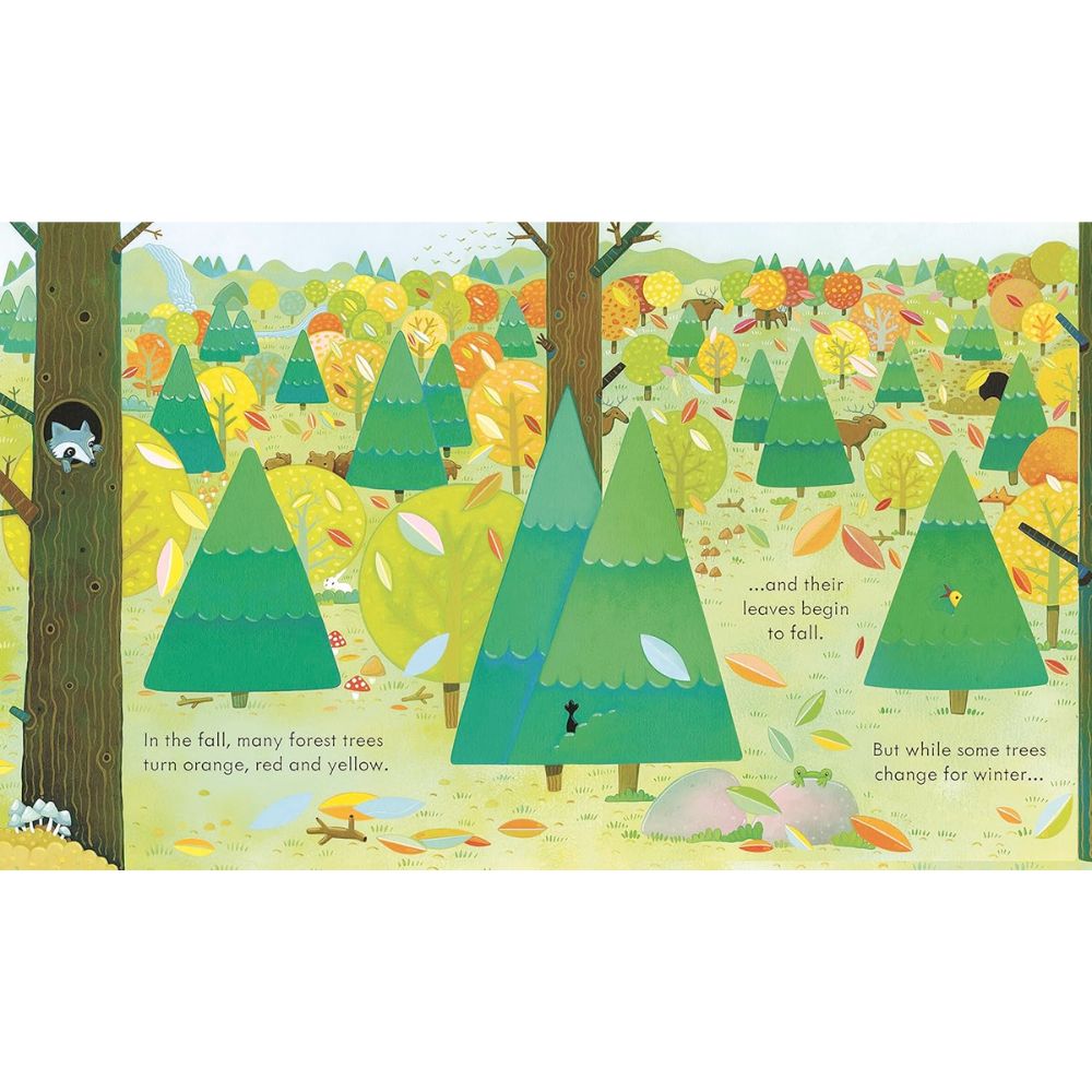 Peek Inside - The Forest