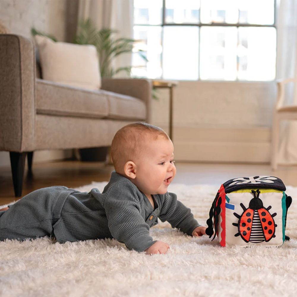 Manhattan Toy Wimmer Discovery Cube