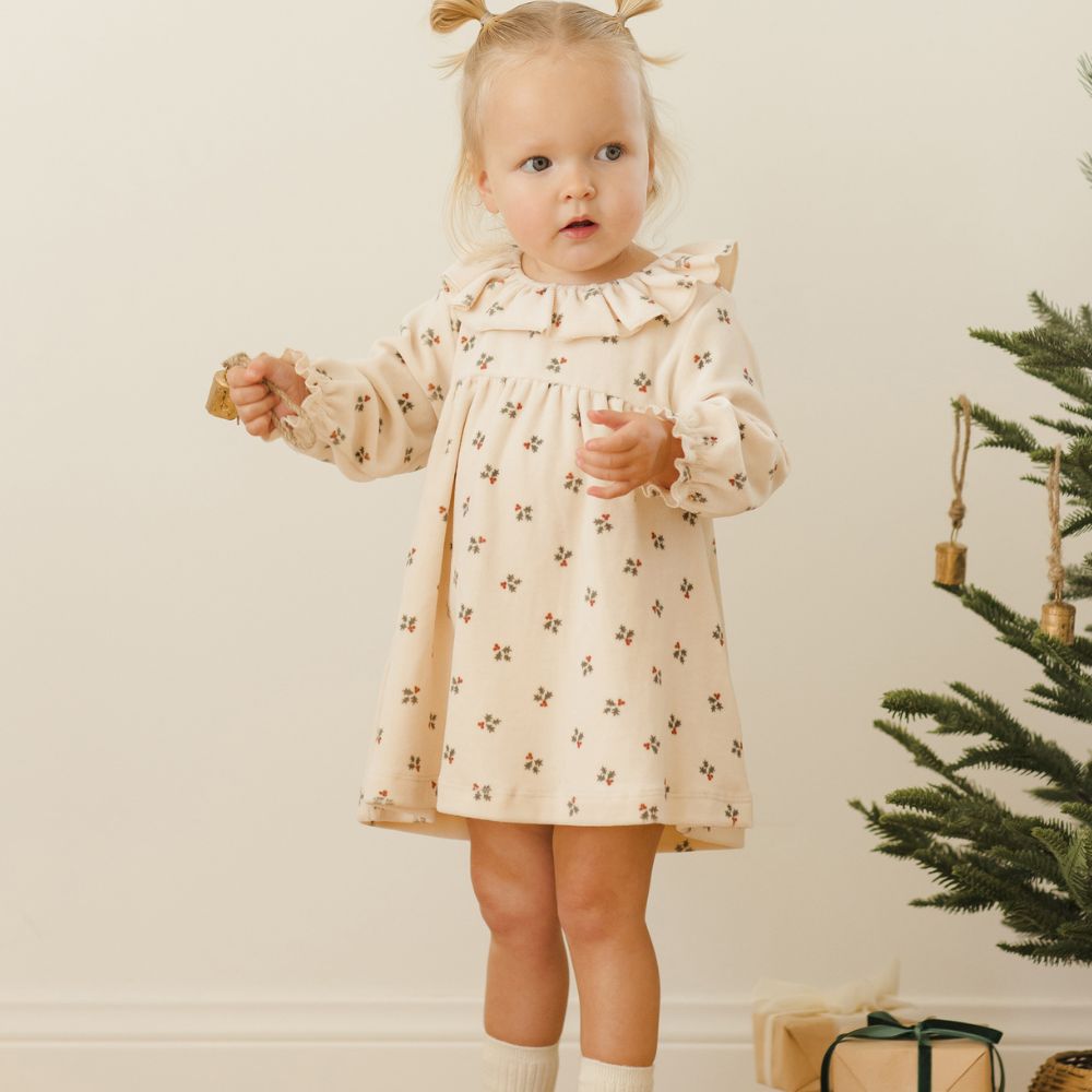 Quincy Mae Velour Baby Dress Holly Berry