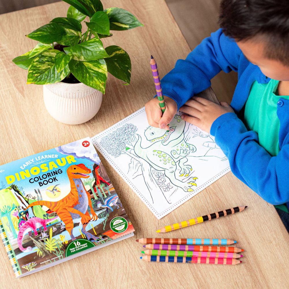 Eeboo Dinosaur Square Coloring Book