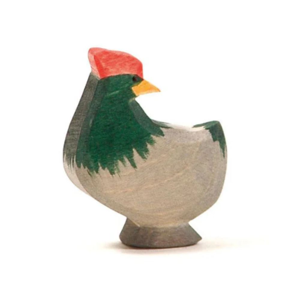 Ostheimer Hen Dark Head Turning