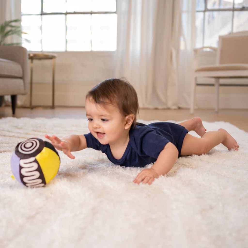Manhattan Toy Wimmer Sensory Ball