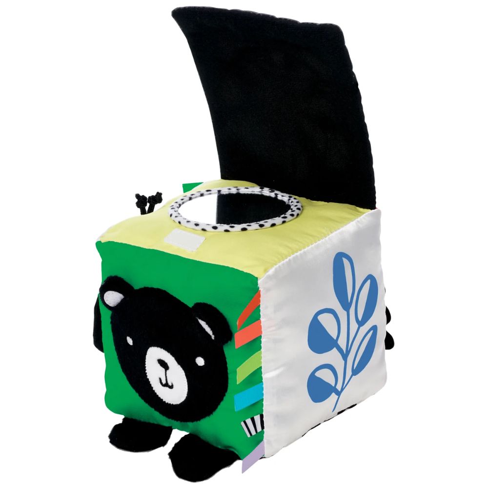 Manhattan Toy Wimmer Discovery Cube