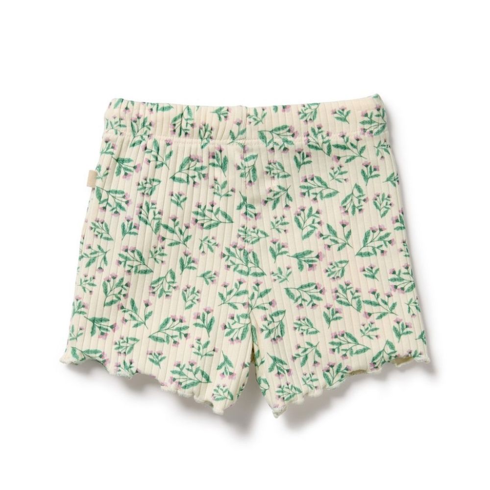 Wilson & Frenchy Organic Short